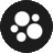 thewisewomanrising.com favicon